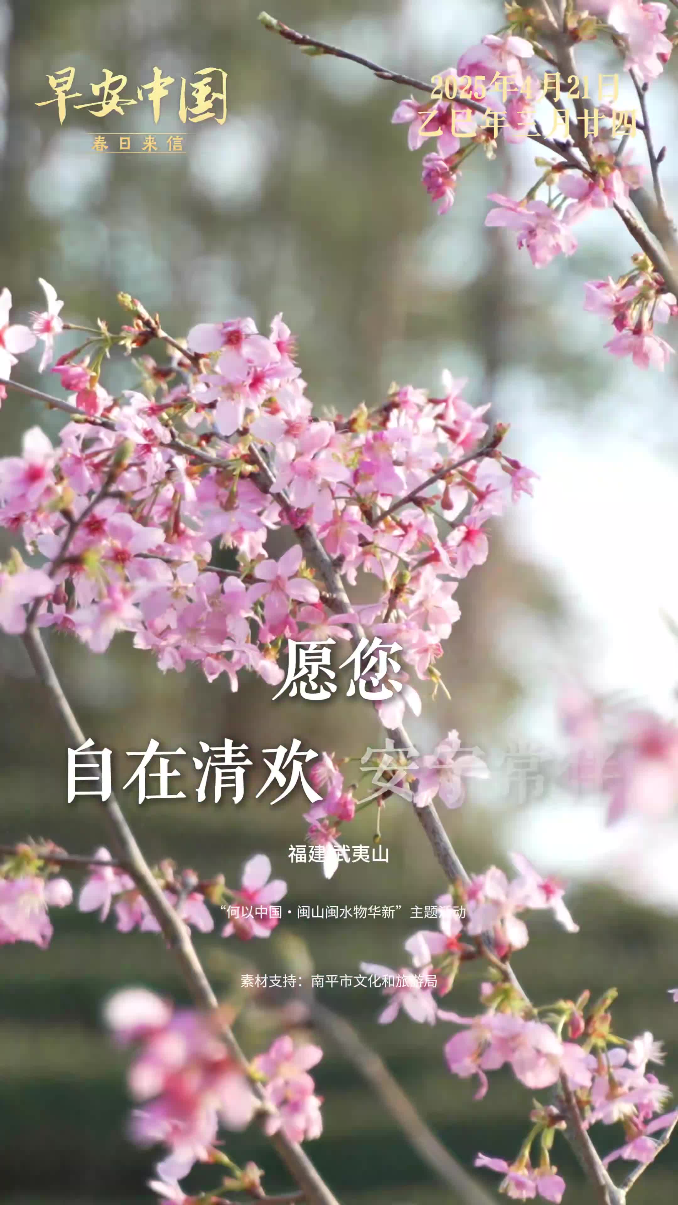 早安中国 | 看武夷山水有多惊艳